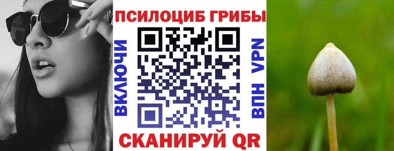 закладка Североморск Псилоцибиновые грибы GOLDEN TEACHER